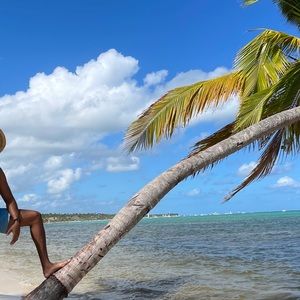 Meet your Posher, Alfredo